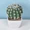 Mini Realistic Fake Cactus HighPerformance Artificial Succulent Without Pot Cute Potted Plant Dec 13
