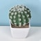 Mini Realistic Fake Cactus HighPerformance Artificial Succulent Without Pot Cute Potted Plant Dec 13
