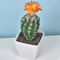 Mini Realistic Fake Cactus HighPerformance Artificial Succulent Without Pot Cute Potted Plant Dec 6