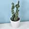 Mini Realistic Fake Cactus HighPerformance Artificial Succulent Without Pot Cute Potted Plant Dec 7