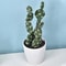 Mini Realistic Fake Cactus HighPerformance Artificial Succulent Without Pot Cute Potted Plant Dec 7