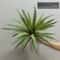 Artificial Aloe Agave Potted Plant HighPerformance Tropical Desert Succulent Green Home Decor 0