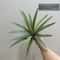 Artificial Aloe Agave Potted Plant HighPerformance Tropical Desert Succulent Green Home Decor 3