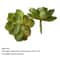 12Piece Green PVC Succulent Set HighPerformance Faux Plant Collection For Home Garden Small Bonsa 14