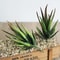 Artificial Desktop Succulent HighPerformance 7x10cm Faux Plant For Garden Home DIY Office Decorat 0