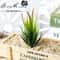 Artificial Desktop Succulent HighPerformance 7x10cm Faux Plant For Garden Home DIY Office Decorat 6