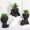 Cartoon Pot Artificial Aloe Set HighPerformance 3Piece Black PE Succulent Collection Home Decorat 3