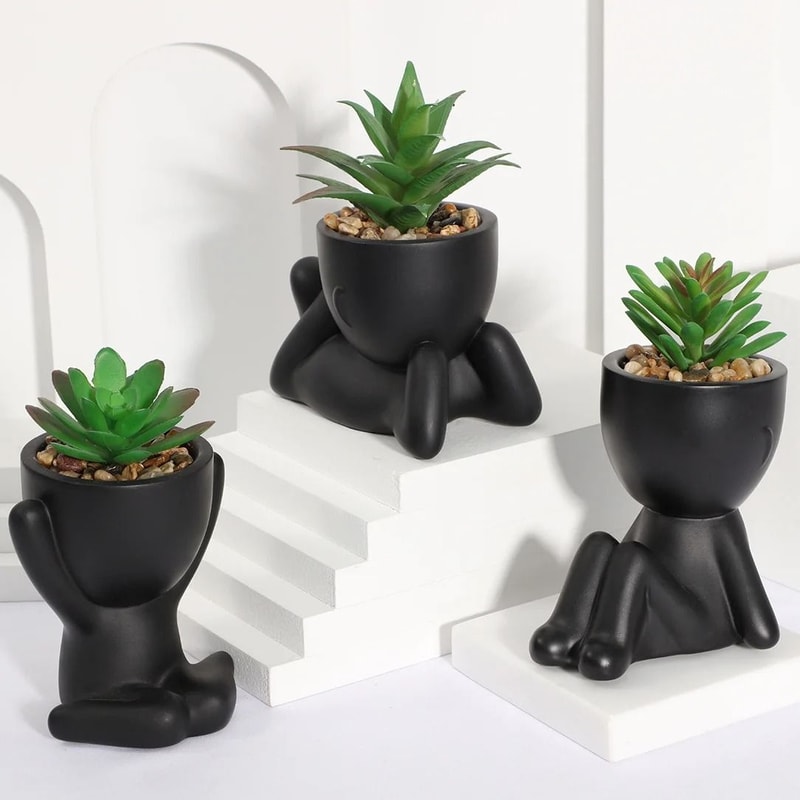 Cartoon Pot Artificial Aloe Set HighPerformance 3Piece Black PE Succulent Collection Home Decorat 3