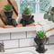 Cartoon Pot Artificial Aloe Set HighPerformance 3Piece Black PE Succulent Collection Home Decorat 4