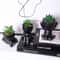 Cartoon Pot Artificial Aloe Set HighPerformance 3Piece Black PE Succulent Collection Home Decorat 5