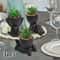 Cartoon Pot Artificial Aloe Set HighPerformance 3Piece Black PE Succulent Collection Home Decorat 6