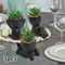 Cartoon Pot Artificial Aloe Set HighPerformance 3Piece Black PE Succulent Collection Home Decorat 6