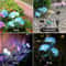 3Head Solar Hydrangea Rose Garden Lights Decorative LED Floral Lamps For Patios Lawns 4