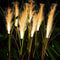 Luminous LED Solar Reed Garden Lights Decorative Outdoor Stake Light For Yards Christmas 0