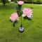 3Head Solar Peony Flower Garden Lights Waterproof Pink Outdoor Pathway Lamps Christmas Decor 4
