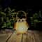 Hanging Solar Owl Lantern Waterproof Decorative Metal Garden Light For Patio Pathway 2