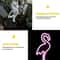 Solar Neon Flamingo Garden Decor Waterproof Outdoor LED Landscape Night Light For Yards Lawns 3