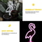 Solar Neon Flamingo Garden Decor Waterproof Outdoor LED Landscape Night Light For Yards Lawns 3