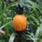 LED Solar Pineapple Yard Lamp Waterproof Simulation Landscape Stake Light For Garden Lawn 2