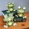 Solar Frog Garden Statue Light HandPainted Resin Figurine Ornament For Outdoor Yard Pathway 1