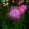 Solar Dandelion Aluminum Wire Ball Light Waterproof Outdoor LED Landscape Lamp Garden Decoration 6