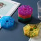 7Day Color Pill Case Portable Medicine Dispenser Travel Vitamin Tablet Organizer Container 2