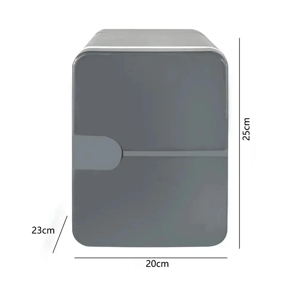 6L Car Mini Fridge Beauty Refrigerator Portable Semiconductor Skincare Makeup CoolerHeater 6