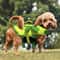 Ripstop Waterproof Dog Life Vest Reflective Dog Swimsuit With Safety Handle Professional Pet Boat 4