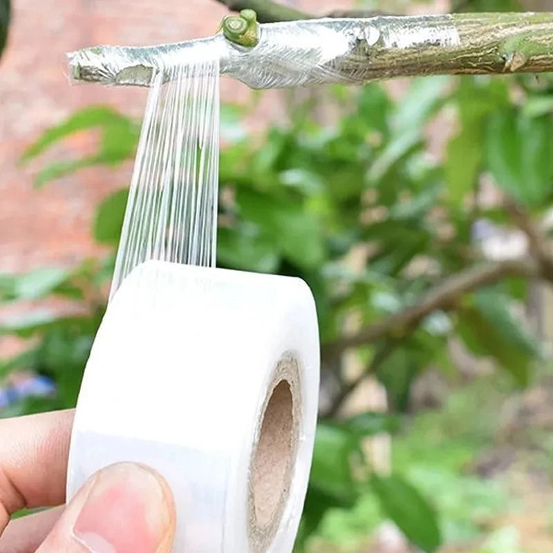 200M PE Grafting Tape Selfadhesive Film For Fruit Tree Nursery Plants And Seedlings 3