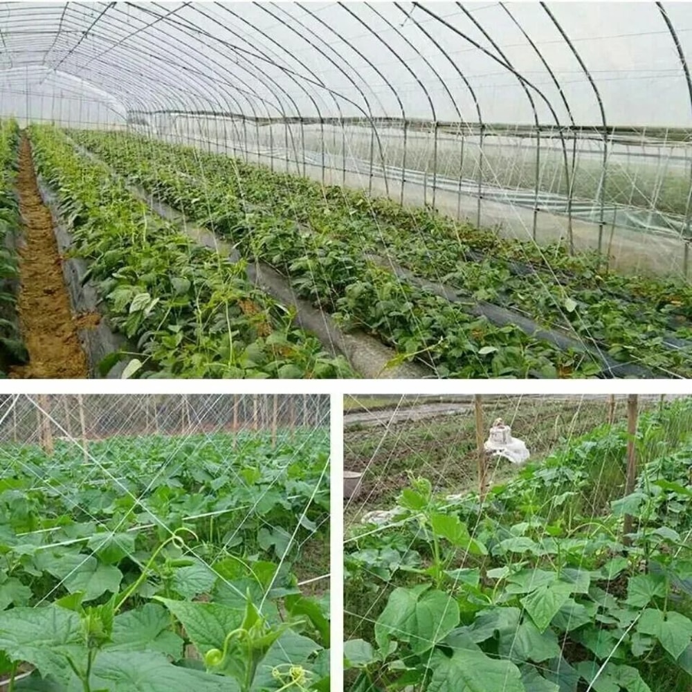 Garden Climbing Net Trellis Netting HeavyDuty Plant Support Stand For Flowers And Vegetables 3