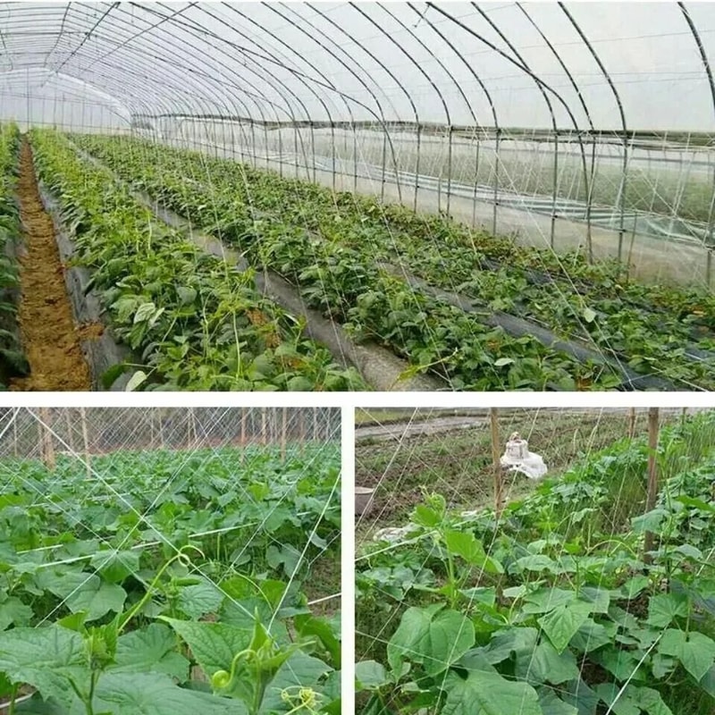 Garden Climbing Net Trellis Netting HeavyDuty Plant Support Stand For Flowers And Vegetables 3