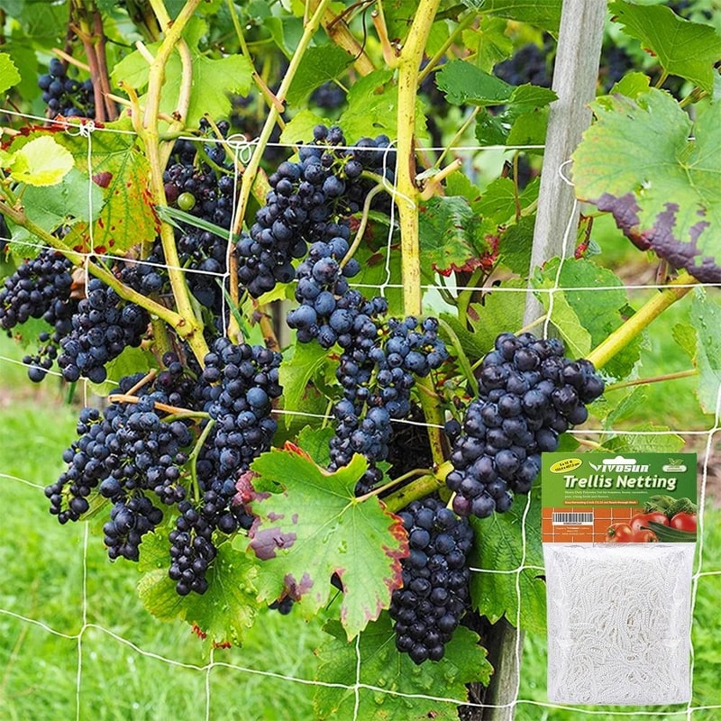 Garden Climbing Net Trellis Netting HeavyDuty Plant Support Stand For Flowers And Vegetables 4