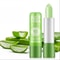 Aloe Vera Color Changing Moisturizing Lipstick Lasting Nutritional Repair AntiDrying Lip Care 6