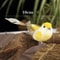 6PCS Simulation Artificial Bird Sparrow Statues Foam Desktop Miniatures For DIY Home Decor 1