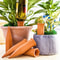 2Pack Terracotta SelfWatering Stakes Automatic Irrigation System For Indoor And Outdoor Plants 0