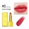 Shimmer Gold Metallic Glitter Lipstick Waterproof Long Lasting Batom Gold Brick Tube Design 10