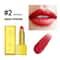Shimmer Gold Metallic Glitter Lipstick Waterproof Long Lasting Batom Gold Brick Tube Design 13