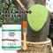 Tree Grafting Paste And Bonsai Cut Wound Sealer With Brush For Pruning And Plant Repair 1