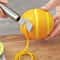 Professional Stainless Steel Lemon Zester And Citrus Peeler With Channel Knife For Kitchen Prep 1