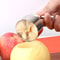 Professional Stainless Steel Fruit Core Digger And Pitter For Apples And Pears 2