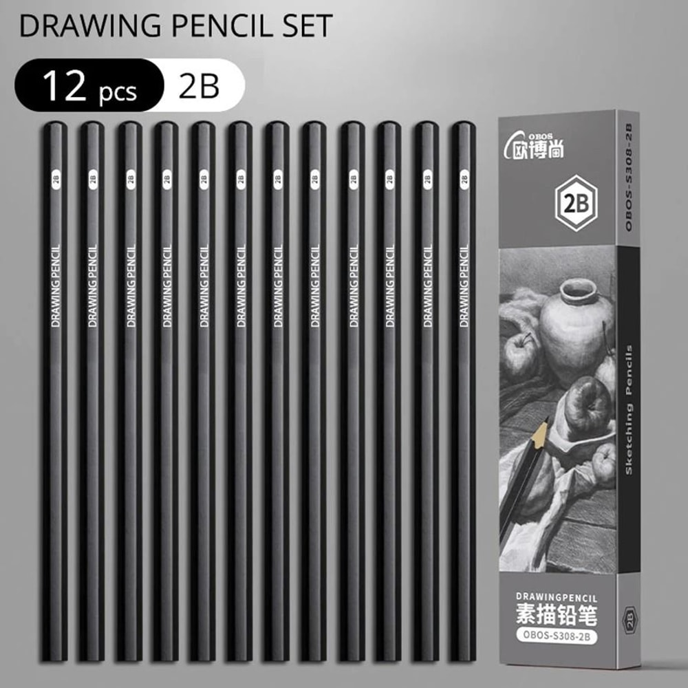 Professional MultiGrade Graphite Charcoal Sketching Pencil Set 9