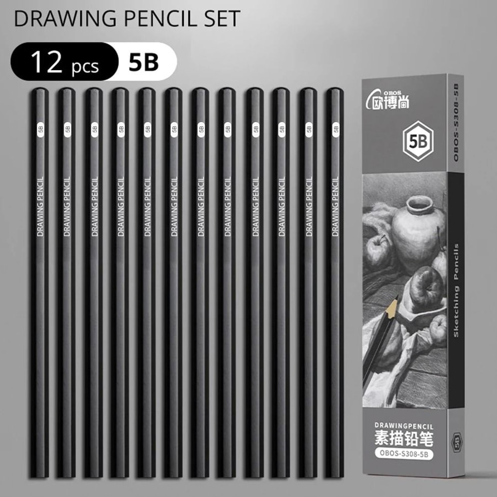 Professional MultiGrade Graphite Charcoal Sketching Pencil Set 11