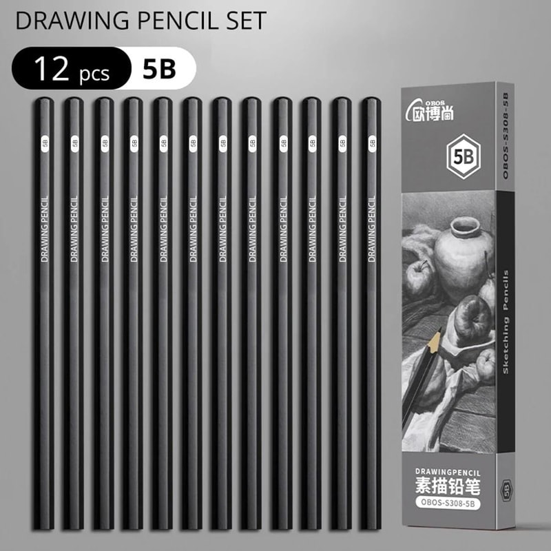 Professional MultiGrade Graphite Charcoal Sketching Pencil Set 11