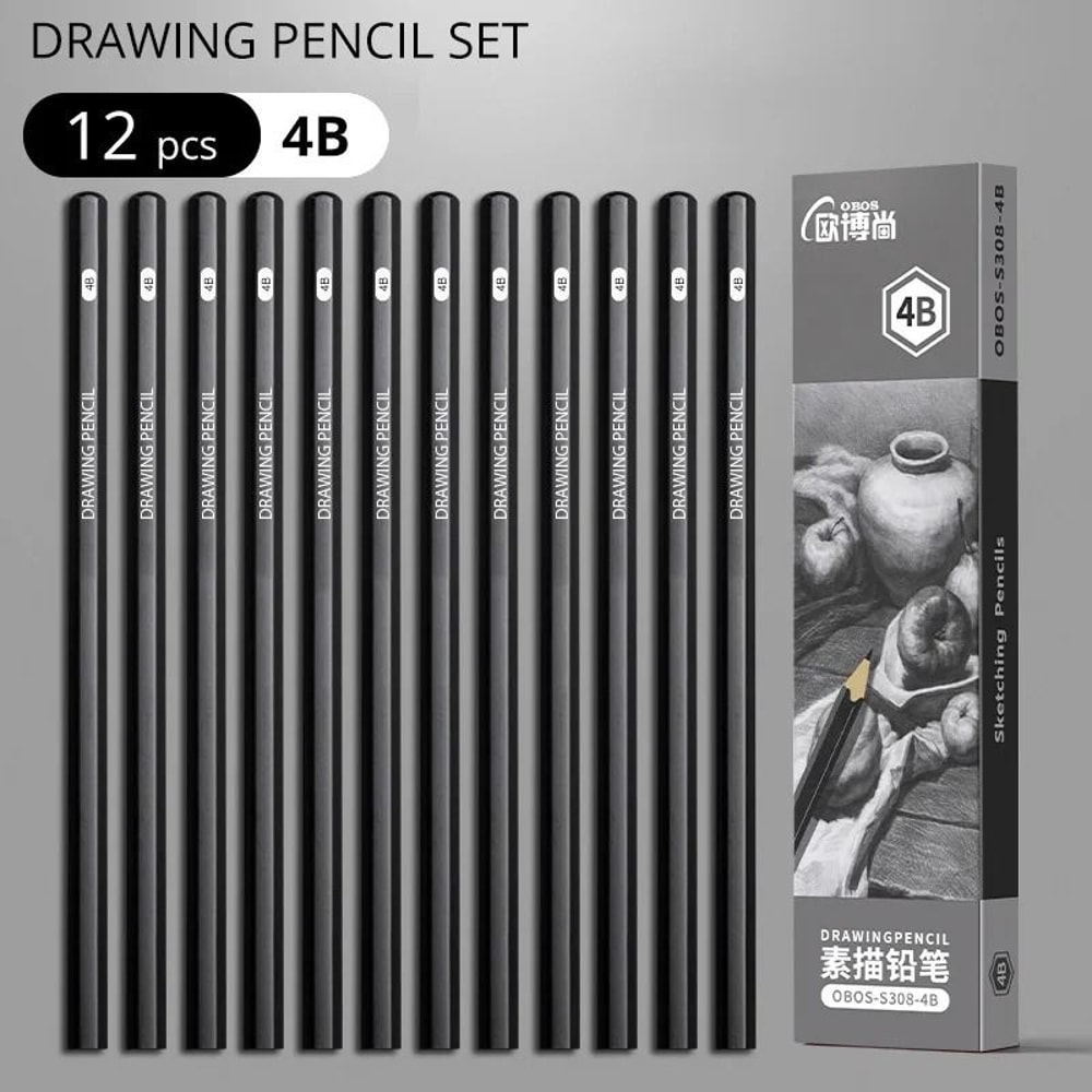 Professional MultiGrade Graphite Charcoal Sketching Pencil Set 12