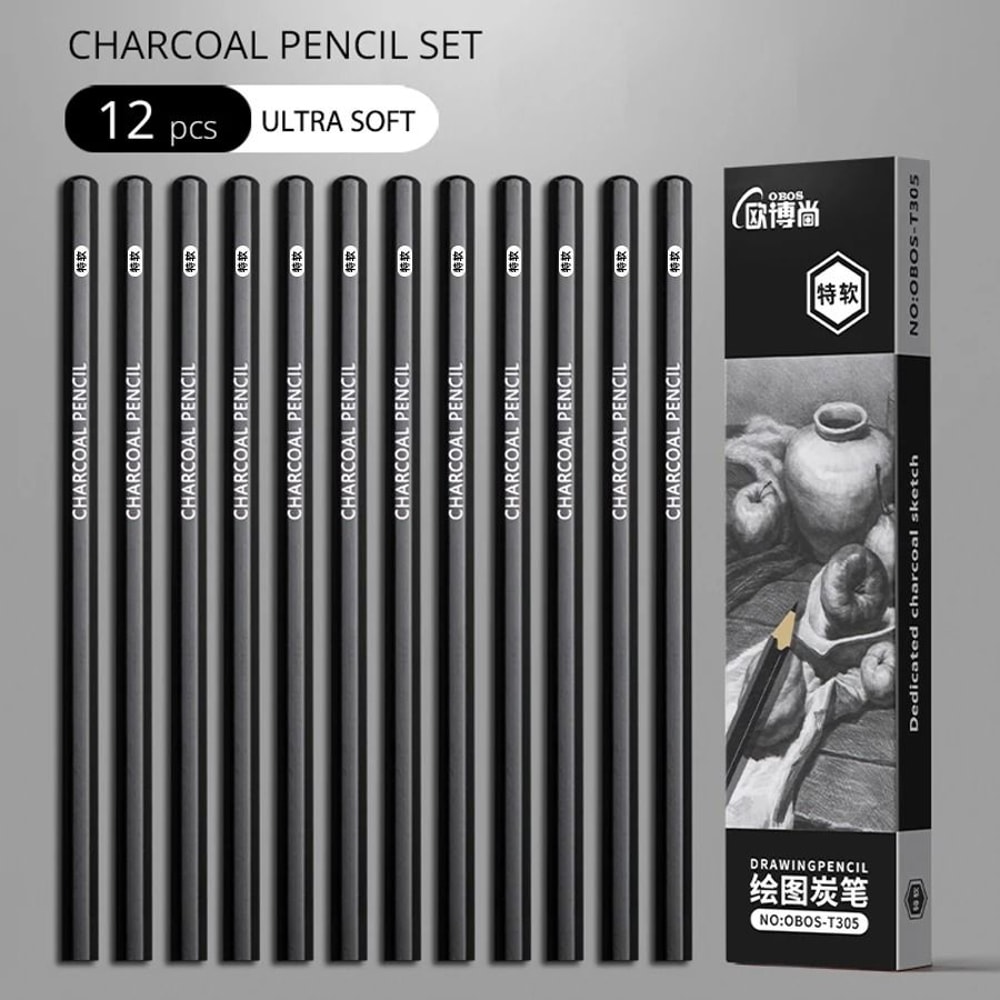 Professional MultiGrade Graphite Charcoal Sketching Pencil Set 20