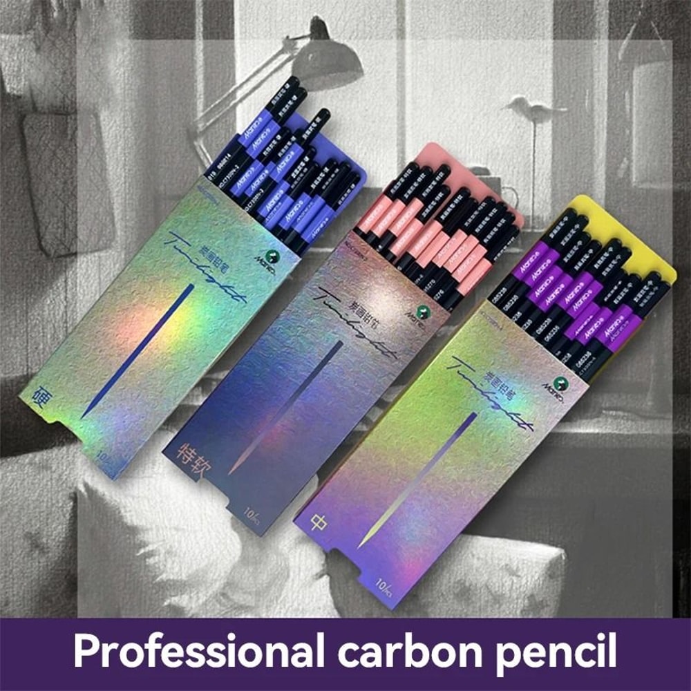 Professional 10Piece Charcoal Graphite Sketching Set Premium Artist Grade 0