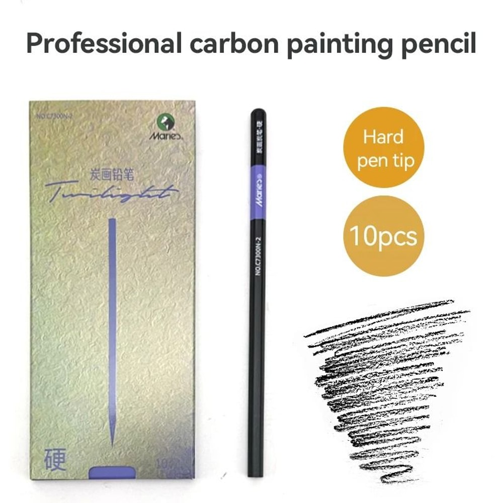 Professional 10Piece Charcoal Graphite Sketching Set Premium Artist Grade 6