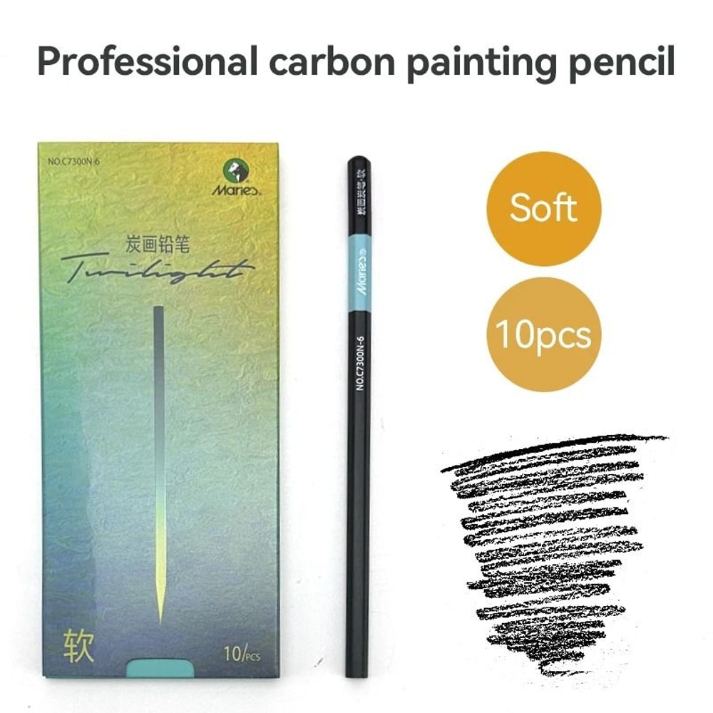 Professional 10Piece Charcoal Graphite Sketching Set Premium Artist Grade 7