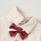 Infant Boy 4Piece Gentleman Wedding Suit Formal Dress Shirt Vest Suspender Set 2