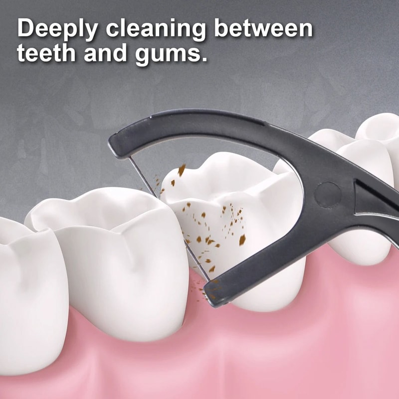 2in1 Bamboo Charcoal Mint Dental Floss Sticks High Performance Interdental Cleaning Tool 3